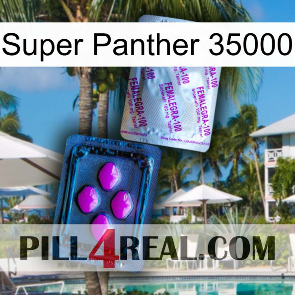 Super Panther 35000 37.jpg